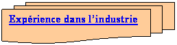 Organigramme : Multidocument: Exprience dans lindustrie